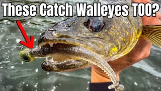 These Top 3 BASS Plastics Might Also Be the BEST Walleye Lures Ever!