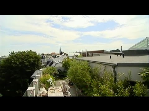 Dachgarten mitten in Hamburg