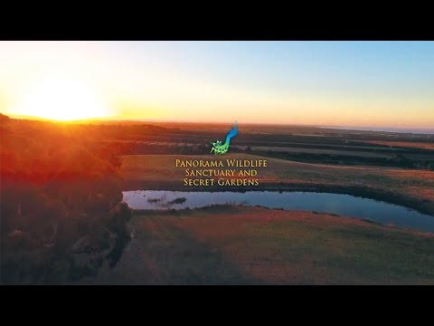 Aerial View – Panorama Garden Estate
