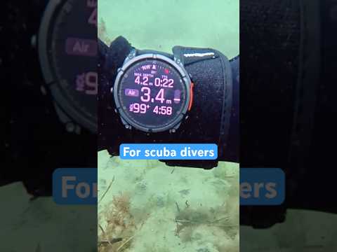 Is the Garmin Fenix 8 the Best Dive Computer for Active Scuba Divers?