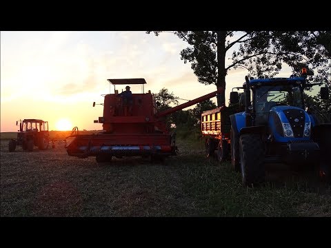 hqdefault Żniwa 2017: Dwuetapowy zbiór rzepaku   VIDEO