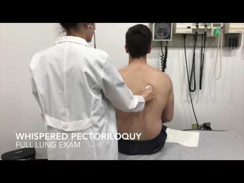 Pulmonary Exam - Whispered Pectoriloquy