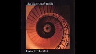 The Electric Soft Parade : Why to you try so hard to hate me