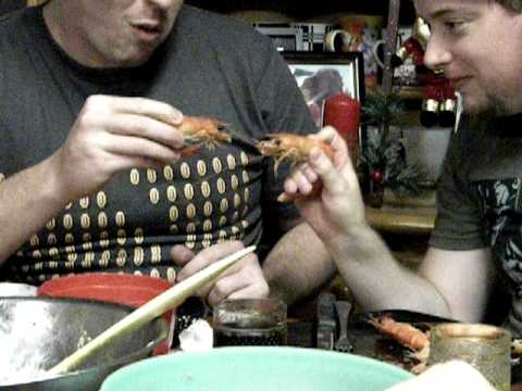 District 9 - Prawn Wars