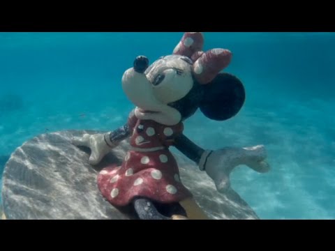 SNORKELING AT DISNEY'S CASTAWAY CAY! (February 11, 2017) Disney SMMC | beingmommywithstyle
