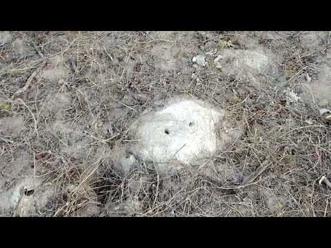 Realidade da nossa querida Caiçara, na Paraíba!