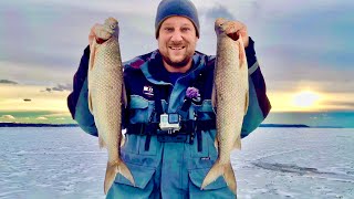 Ice Fishing for Whitefish on Green Bay! What is this Fish I Caught?