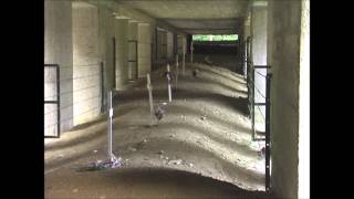 preview picture of video 'The Trench of Bayonets, near Verdun, France'