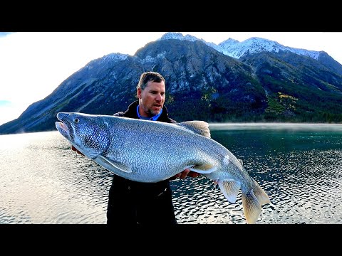 Fall Fishing In The Yukon. Chasing A YouTube World Record