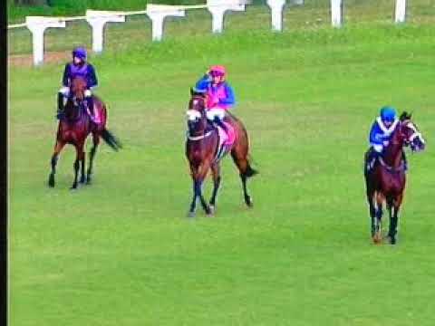 10 February 2019 Borrowdale Park race 6
