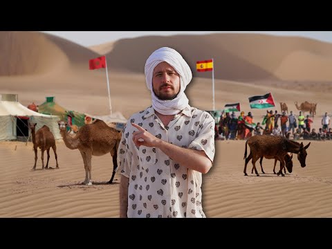This is how they live in the Western Sahara desert: The last colony in Africa 🇪🇭