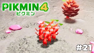 待ちぼうけピクミン【ピクミン4】#21