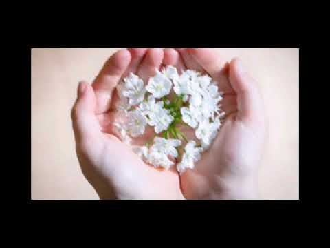 Aș vrea să mă întălnesc cu domnul!