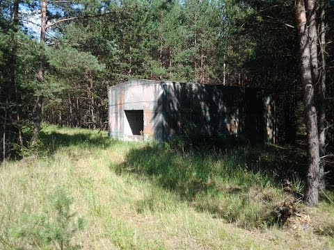 [𝕿𝖔𝖝𝖎𝖈 7] ☢️ Objekt 17/5002 (Versiegelt)