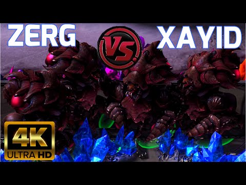 Starcraft 2: Xayid v. Zerg! | Scion Custom Races Quickshot