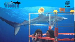 DIA 2 Expo Tiburon166