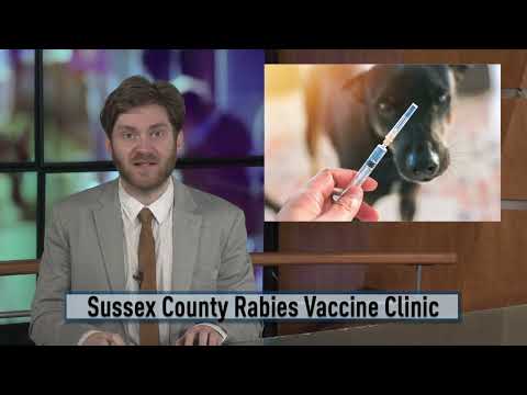 Sussex County Rabies Clinic