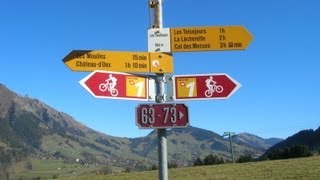 Tailler La Zone Lyrics English Translation