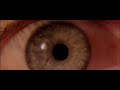 Groundhogs - Split Part 4 HD 2.35 2025