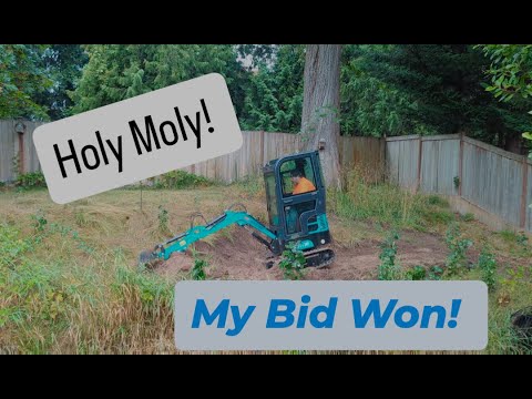 How to buy Cheap Chinese Excavator from eBay and review, Good investment?