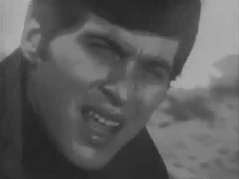 Johnny Rivers - California Dreamin' (Stereo)(1966)