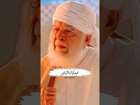 Insan Ban Kar Sochna | Harf-E-Dil Status #khuda #pakistanidrama #dramashorts #humtv #muhabbat #sad