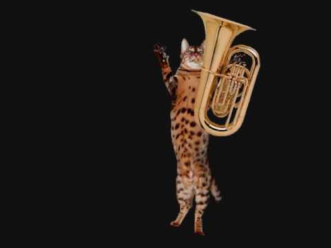 Cat Playing Tuba