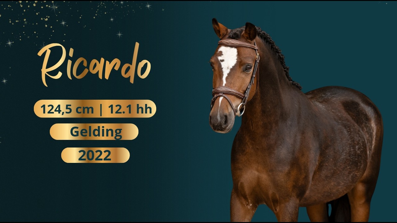 Ricardo video 1