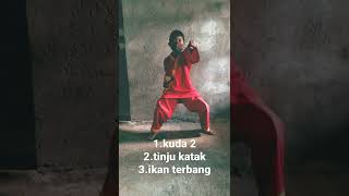 Download lagu serangan/kudakuda dasar tapak suci #tapak suci #indonesia mp3