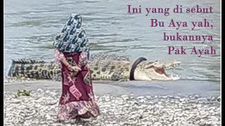 Download lagu Viral Emak-emak Nantang Buaya Berkalung Ban (Crocodile with Tire) mp3 Download lagu Viral Emak-emak Nantang Buaya Berkalung Ban (Crocodile with Tire) mp3