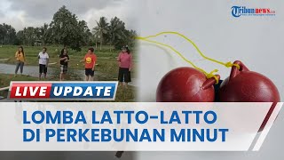 Demam Latto-latto Makin Merebak hingga Ada Lomba di Perkebunan Minahasa Utara, Begini Keseruannya