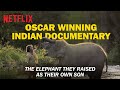 The Elephant Whisperers | Bellie, Bomman And Their Son Raghu | Oscar-Winning Documentary