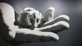 Cause &amp; Effect 2017 Exhibiton Hightlight