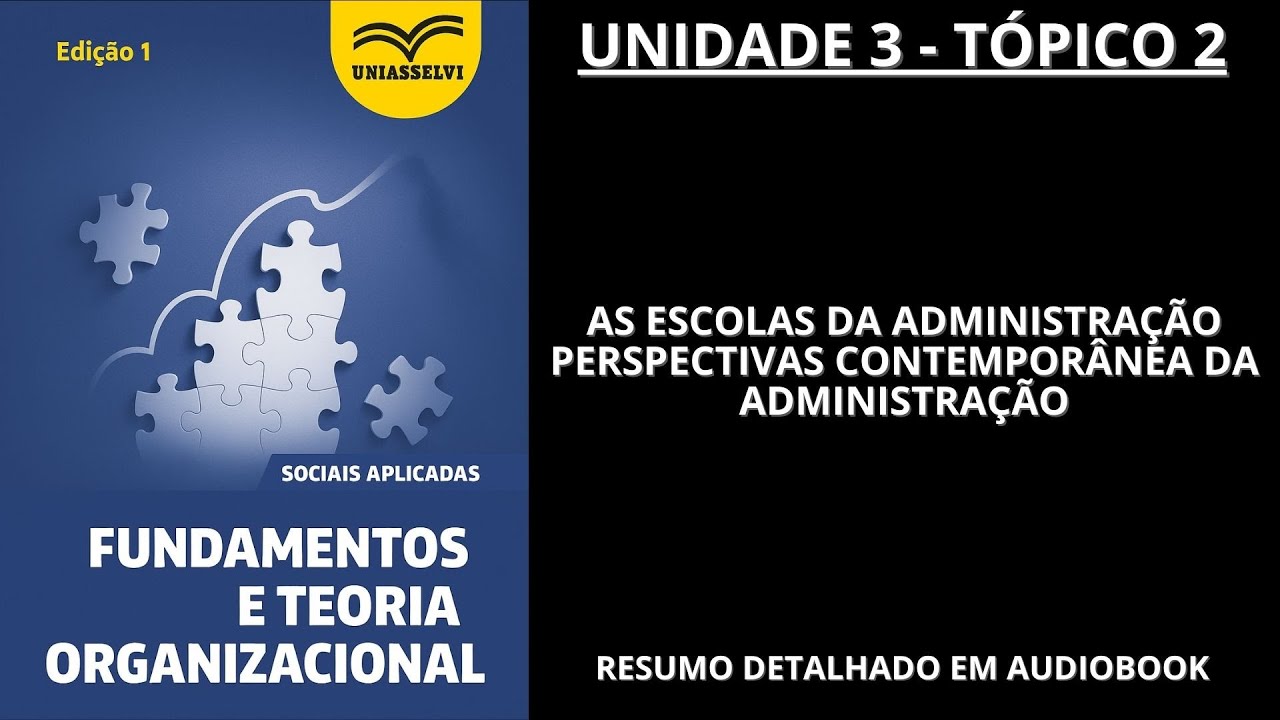 [08] FUNDAMENTOS E TEORIA ORGANIZACIONAL - UNIDADE 3 TÓPICO 2 (resumo em audiobook)
