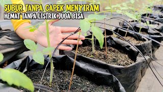 Download lagu Creating Drip Irrigation / Hydroponic & Non-Hydroponic Drip Systems | COMPLETE TUTORIAL mp3 Download lagu Creating Drip Irrigation / Hydroponic & Non-Hydroponic Drip Systems | COMPLETE TUTORIAL mp3