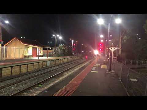 SSR broad gauge grain S317 and S302