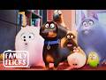 The Funniest Pet Antics The Secret Life Of Pets Movies Family Flicks