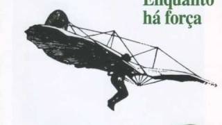 A Acupunctura em Odemira