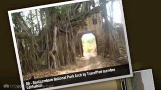 preview picture of video 'Ranthambore National Park - Sawai Madhopur, Rajasthan, India'