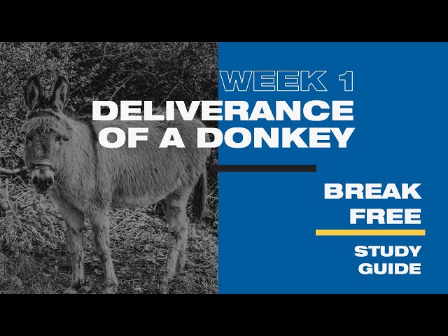Vídeo relacionado con Break Free: How to get free and stay free: 1 (Spiritual Warfare)