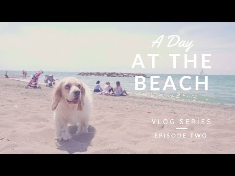 A Day at the Beach - Toronto in the Summer