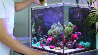 A Day in the Life of a Reef Keeper in Australia