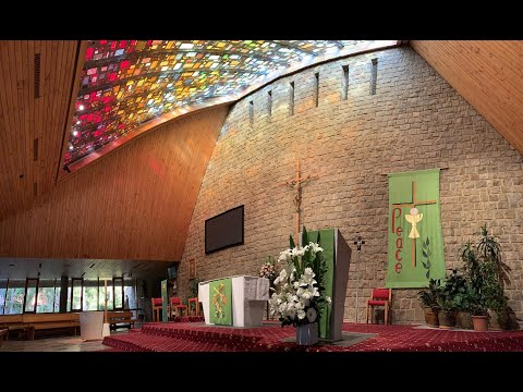 Nineteenth Sunday in Ordinary Time  Year C 6th August 5.00 pm Mass - St Patrick's Church Sutherland