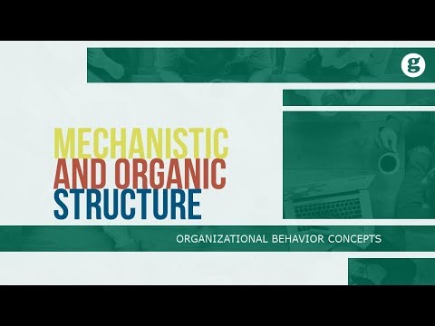 What is Organizational Behavior