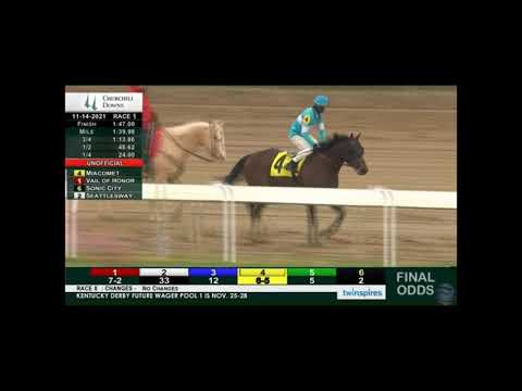 Miacomet (2018) By Flatter (AP Indy) out of Rebelle (Hard Spun)