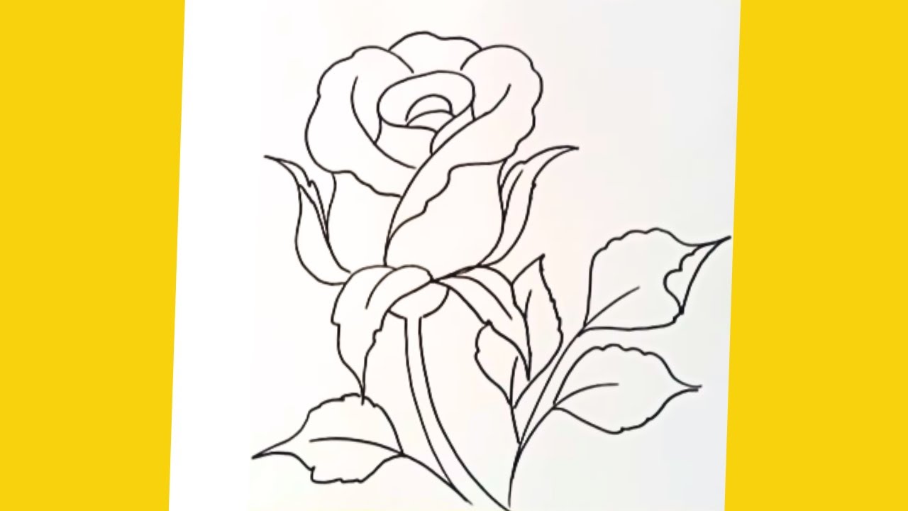 Como Dibujar una Rosa Fácil