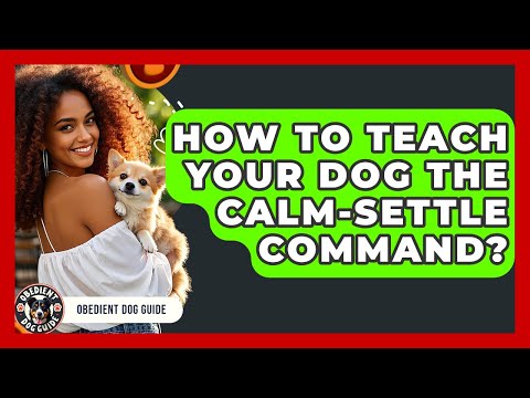 How To Teach Your Dog The Calm-settle Command? - Obedient Dog Guide