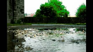 Video Kamen Tashev - Etude D-minor (Official Video)