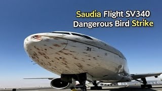 Saudia Flight SV340 struck a flock on approach to Jeddah — how dangerous are bird strikes?