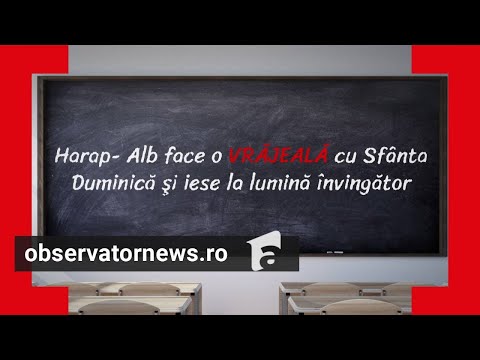 Perle de la BAC 2025: "Harap-Alb face o vrăjeală cu Sfânta Duminică" şi "Lică era bossul"